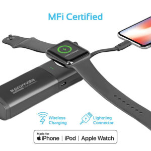 Mobile Charger